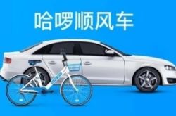 （9分钟教程）七台河市网站_哔哩哔哩-2